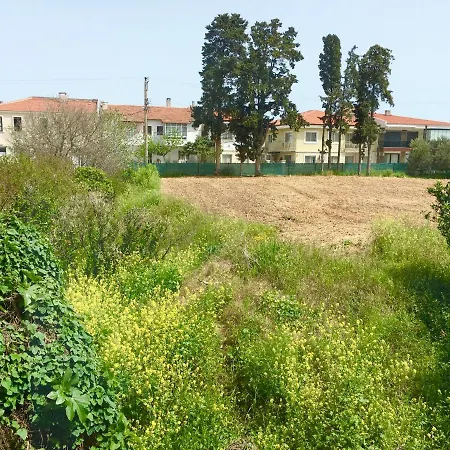 Izmir Cesmede Yazlik Kislik Daire Çeşme